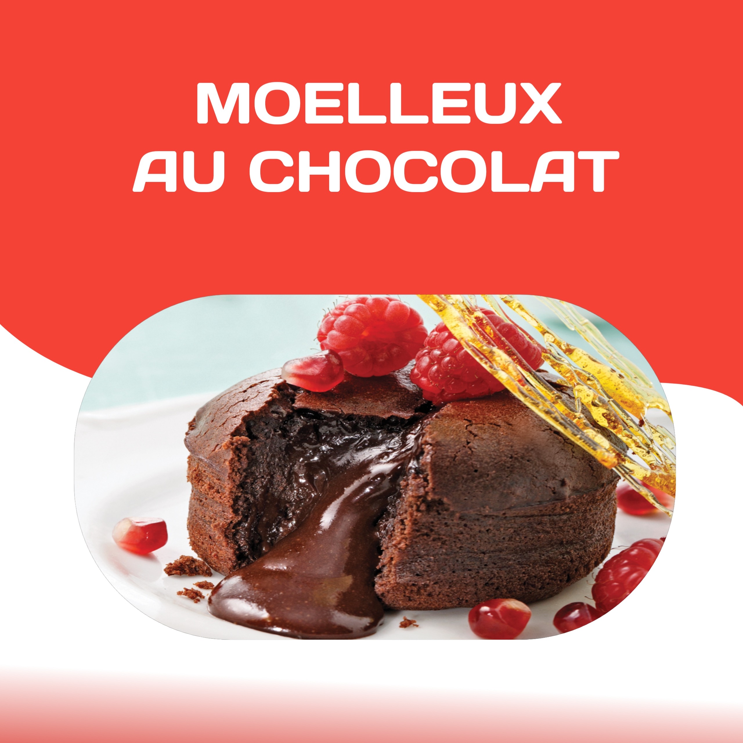 Lire la suite à propos de l’article Moelleux au Chocolat